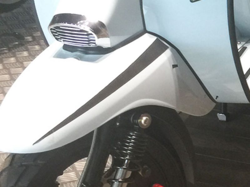 Vinyl mock up of the mudguard flash