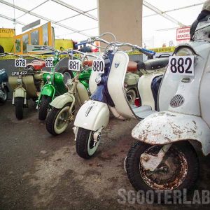 Shepton 2016 006 1-800