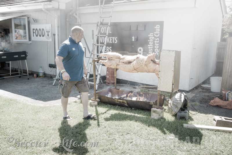 Gorge on pig fat....