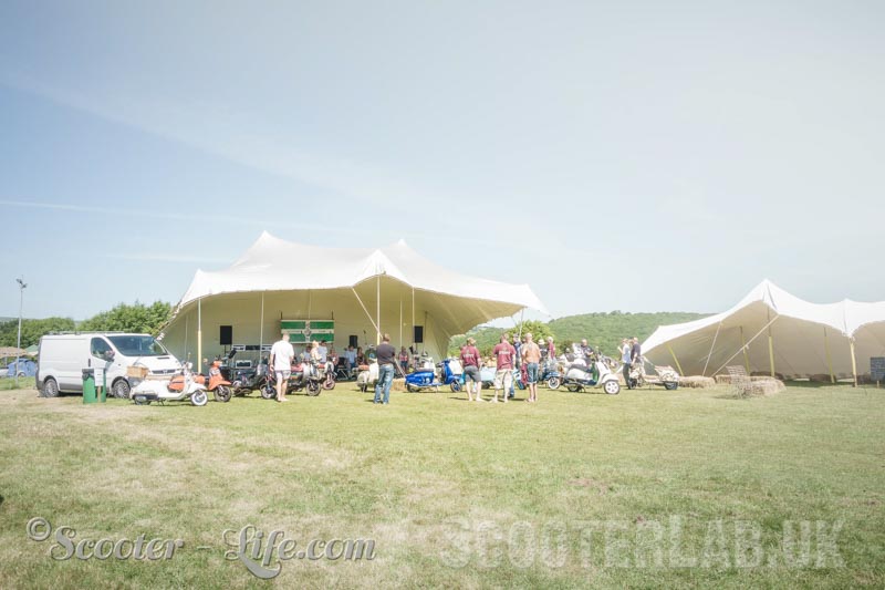Large sun shades