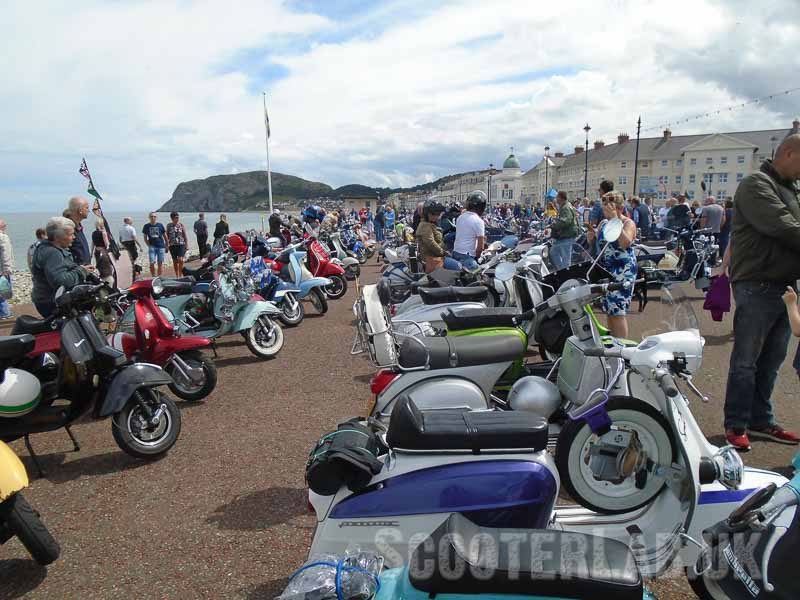 DSC00906800