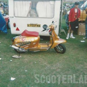SLUK 72-31 SLUK 72-31