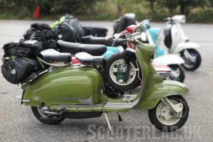 iggy's s1 belgium