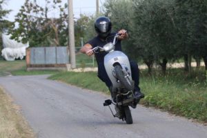 vega wheelie