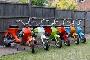 Lui line up