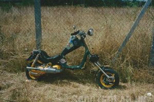 PhotoScan (65)800