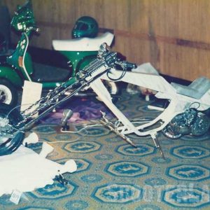 PhotoScan (76)800