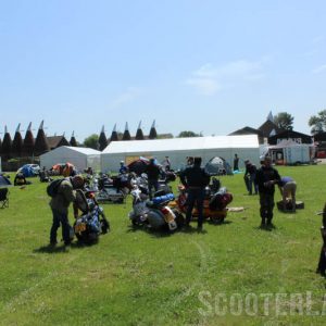 IMG_3360-800 IMG_3360-800