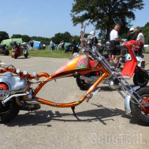 IMG_3390-800 IMG_3390-800