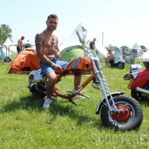IMG_3401-800 IMG_3401-800
