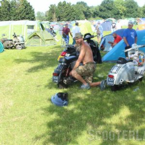 IMG_3446-800 IMG_3446-800