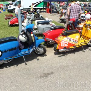IMG_3456-800 IMG_3456-800