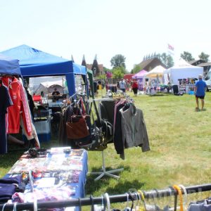 IMG_3479-800 IMG_3479-800