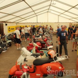 IMG_3492-800 IMG_3492-800
