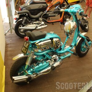 IMG_3509-800 IMG_3509-800