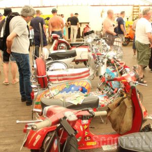 IMG_3526-800 IMG_3526-800