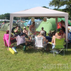 IMG_3561-800 IMG_3561-800