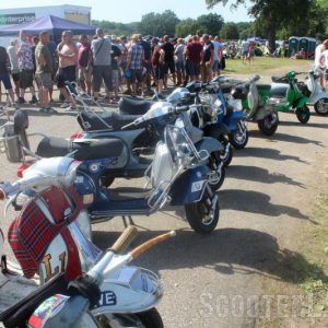 IMG_3573-800 IMG_3573-800