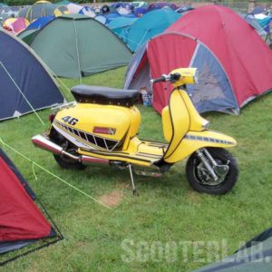 800-22