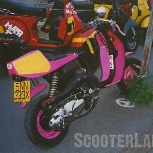 800-54